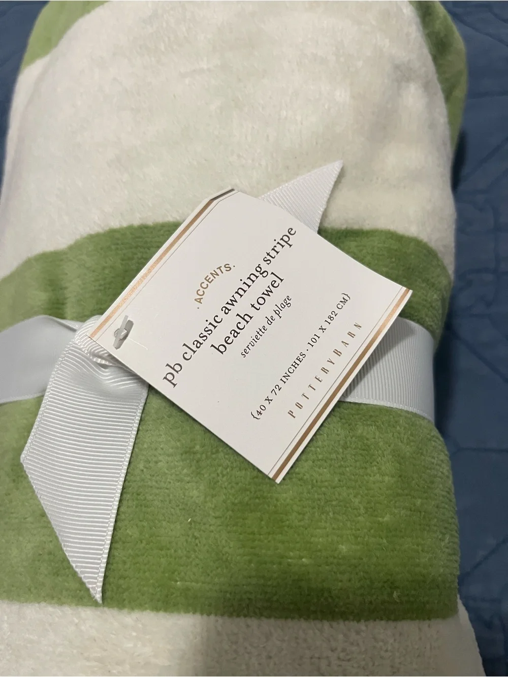 Pottery Barn beach towel